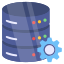 Data Management